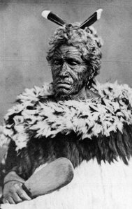 Ritratto di un uomo Maori, prima del 1880